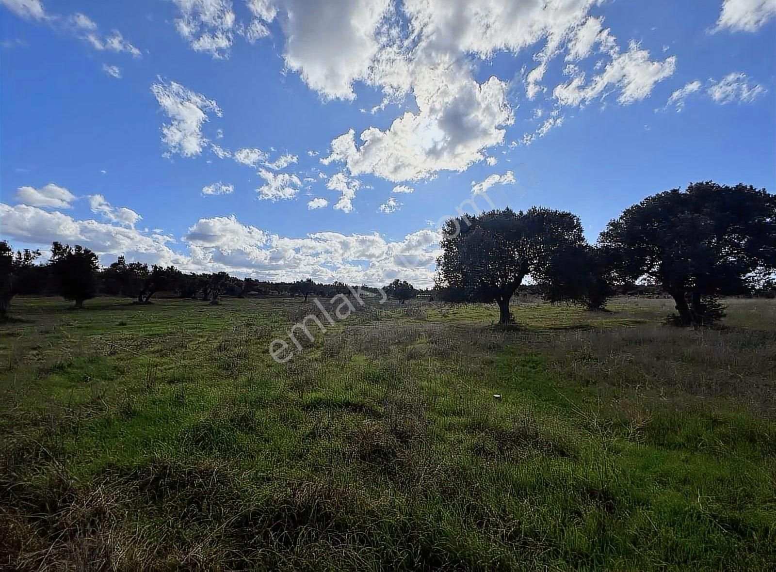 Ezine Kumburun'da Denize Yakın 17.704 M2 Arazi - Görsel 7