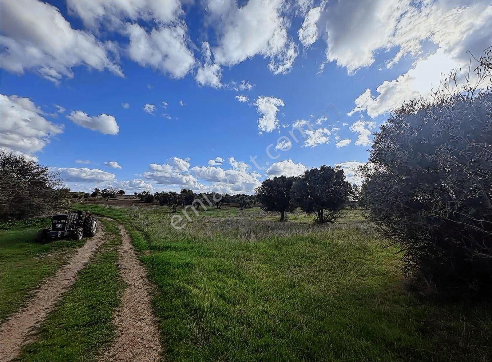 Ezine Kumburun'da Denize Yakın 17.704 M2 Arazi - Görsel 29