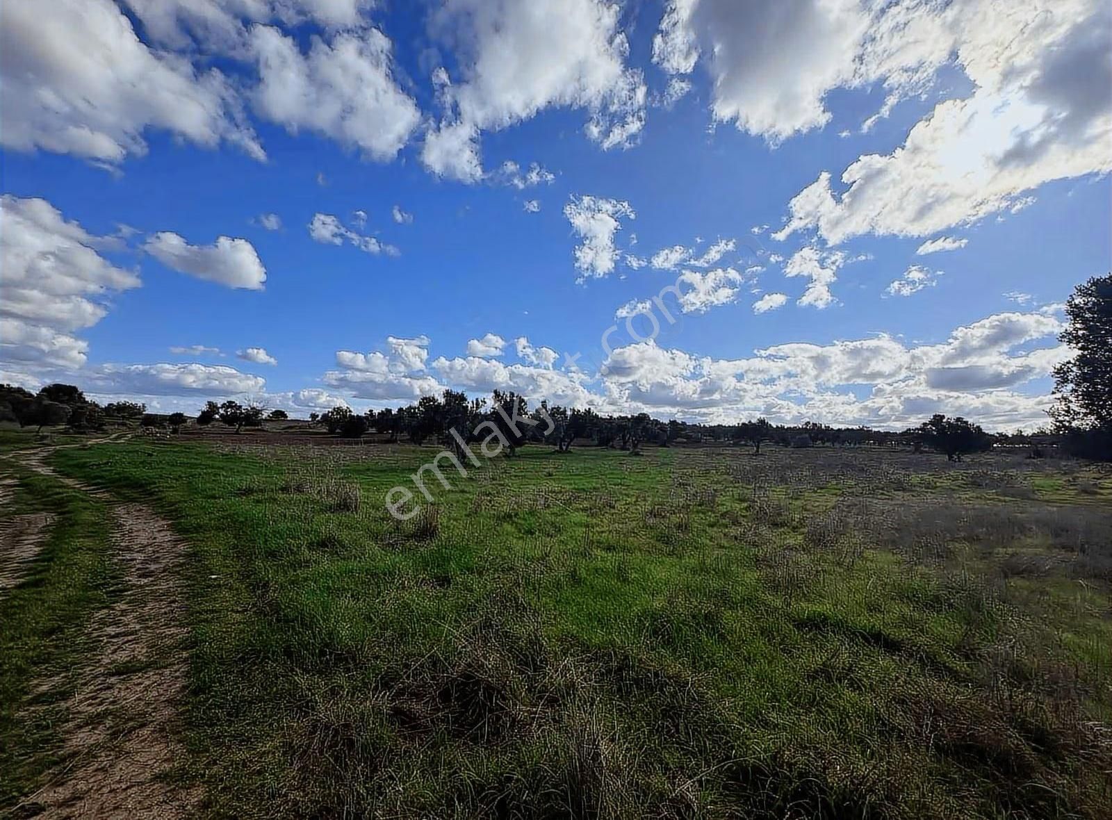 Ezine Kumburun'da Denize Yakın 17.704 M2 Arazi - Görsel 32