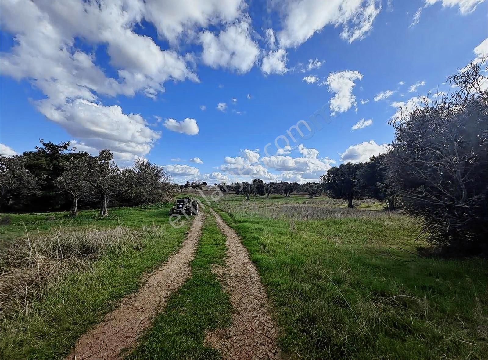 Ezine Kumburun'da Denize Yakın 17.704 M2 Arazi - Görsel 4