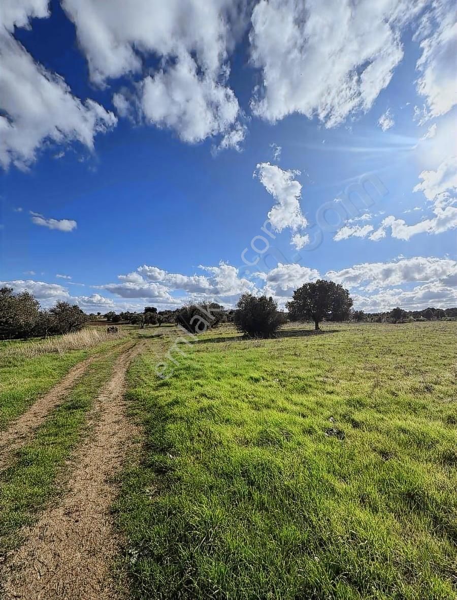 Ezine Kumburun'da Denize Yakın 17.704 M2 Arazi - Görsel 16