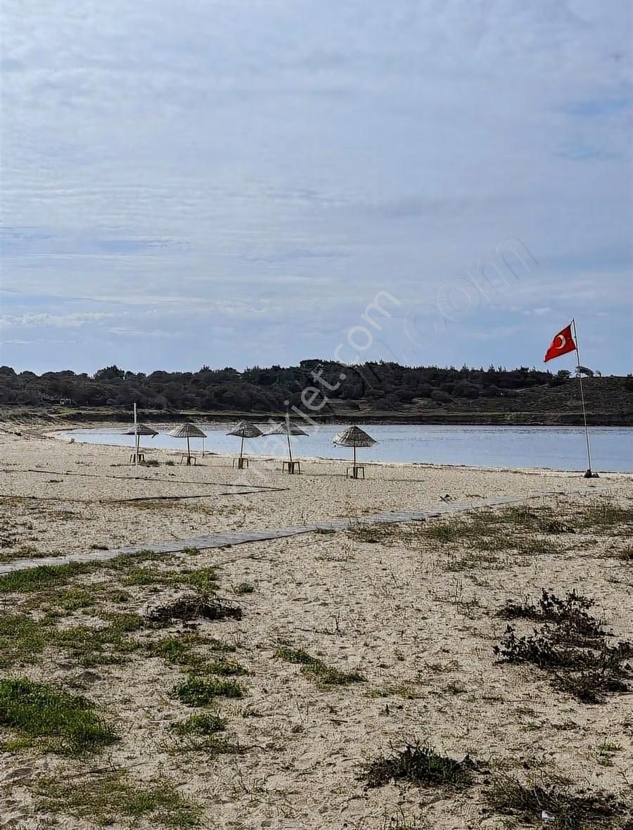 Ezine Kumburun'da Denize Yakın 17.704 M2 Arazi - Görsel 14