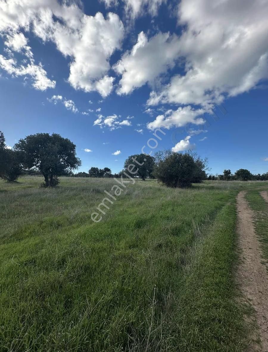 Ezine Kumburun'da Denize Yakın 17.704 M2 Arazi - Görsel 3