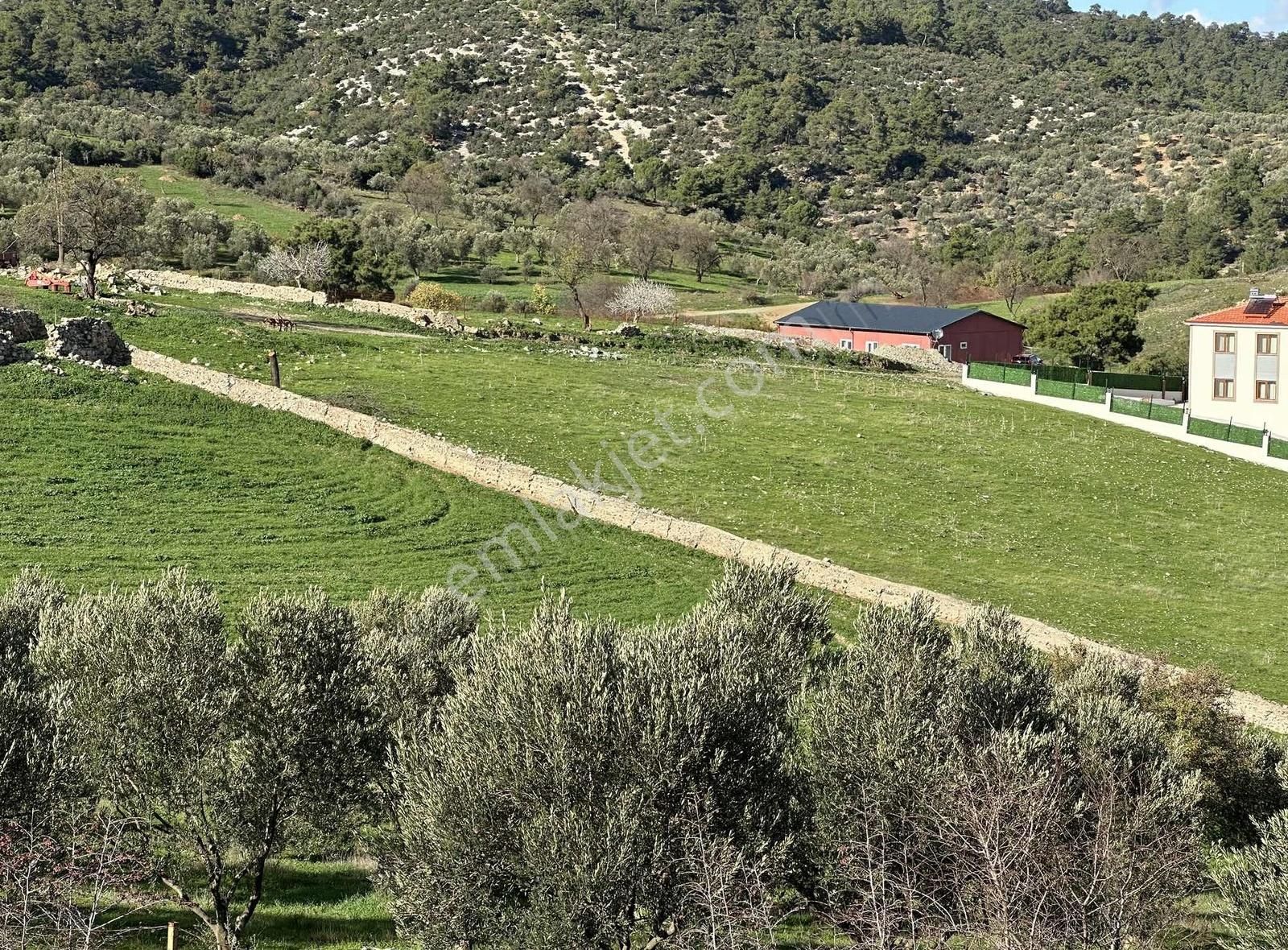 Çanakkale Ezine Çamköyde 657 M2 %40 İmarlı Arsa! - Görsel 24