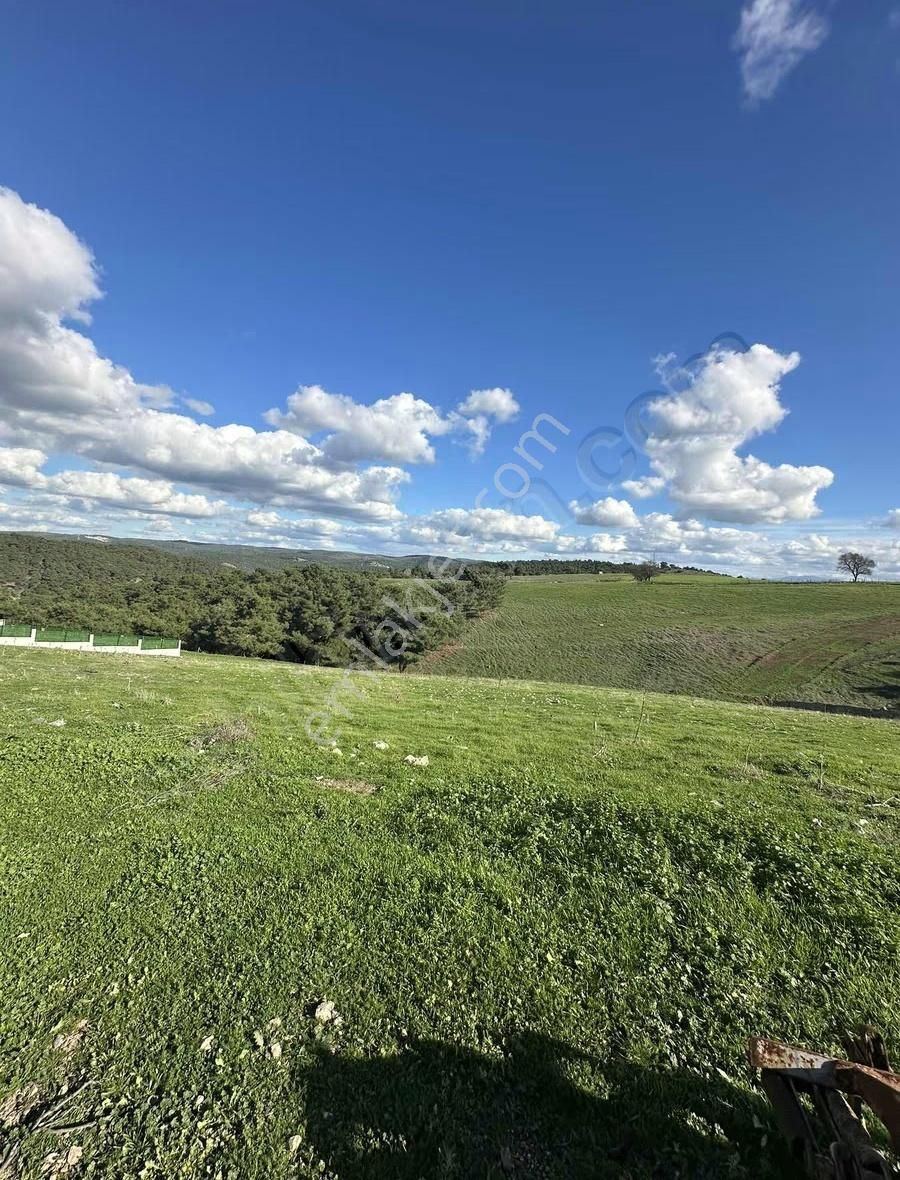 Çanakkale Ezine Çamköyde 657 M2 %40 İmarlı Arsa! - Görsel 6