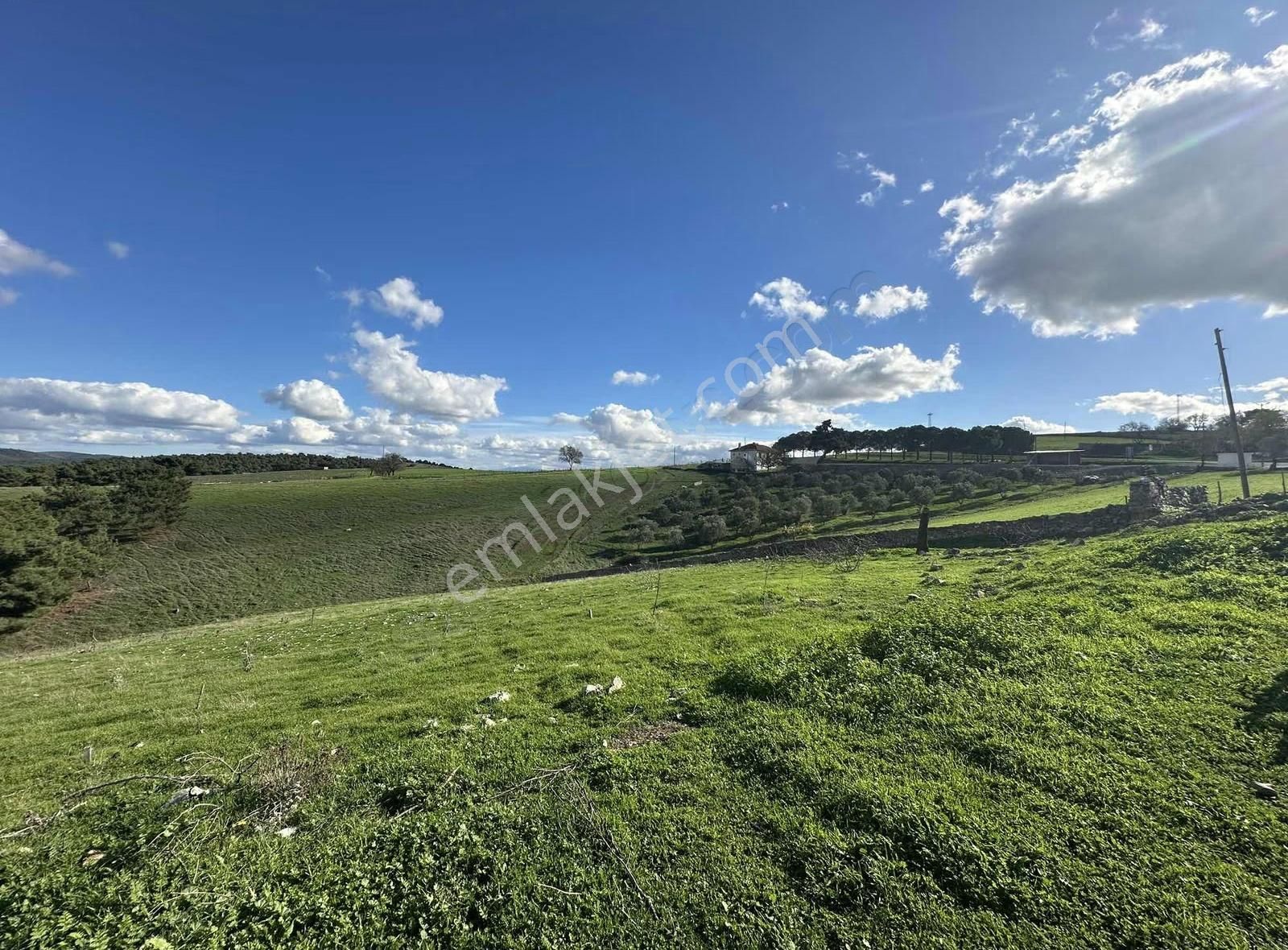 Çanakkale Ezine Çamköyde 657 M2 %40 İmarlı Arsa! - Görsel 27