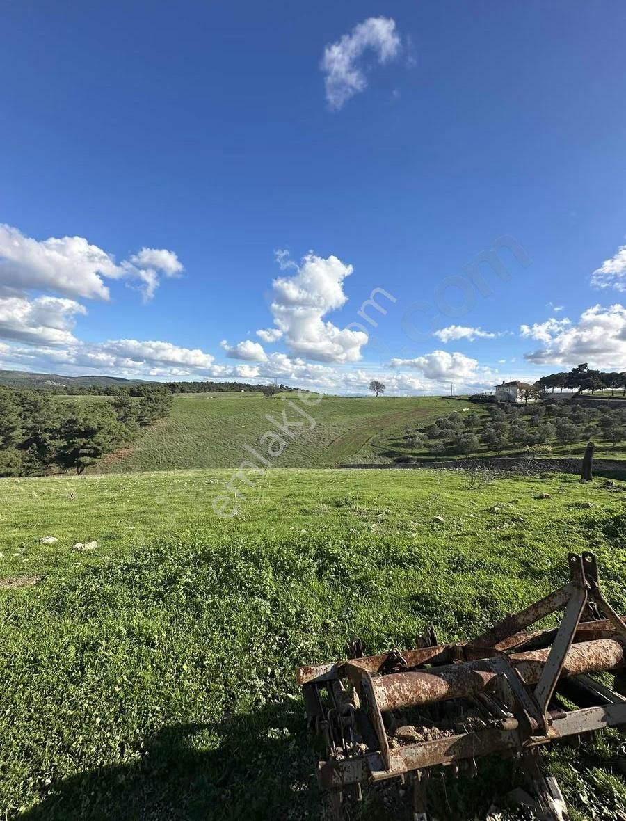 Çanakkale Ezine Çamköyde 657 M2 %40 İmarlı Arsa!