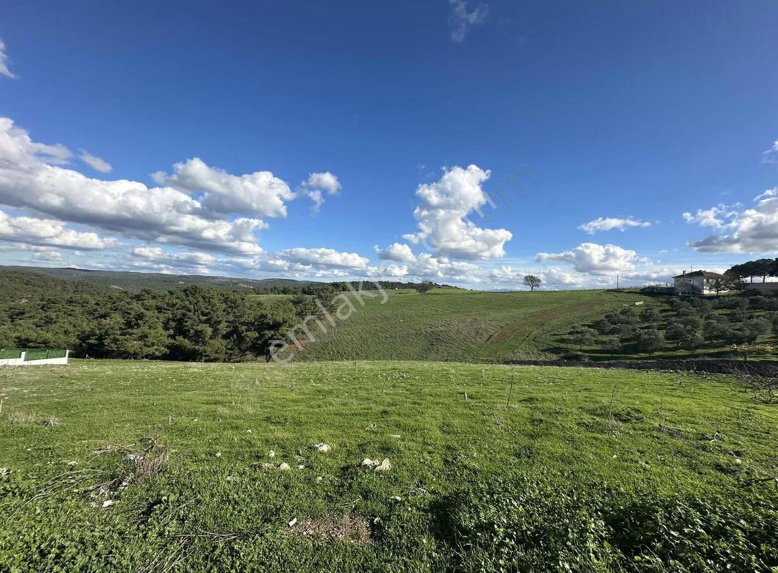 Çanakkale Ezine Çamköyde 657 M2 %40 İmarlı Arsa! - Görsel 16