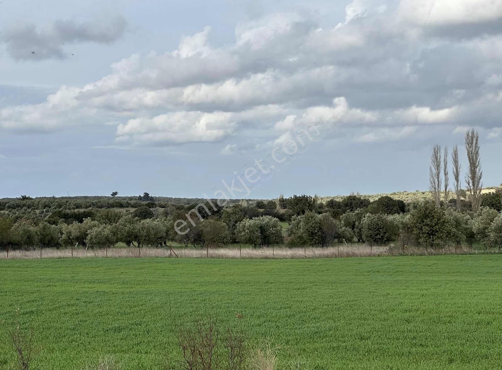 Çanakkale Ezine Gökçebayır'da 23 Dönüm Arazi - Görsel 26