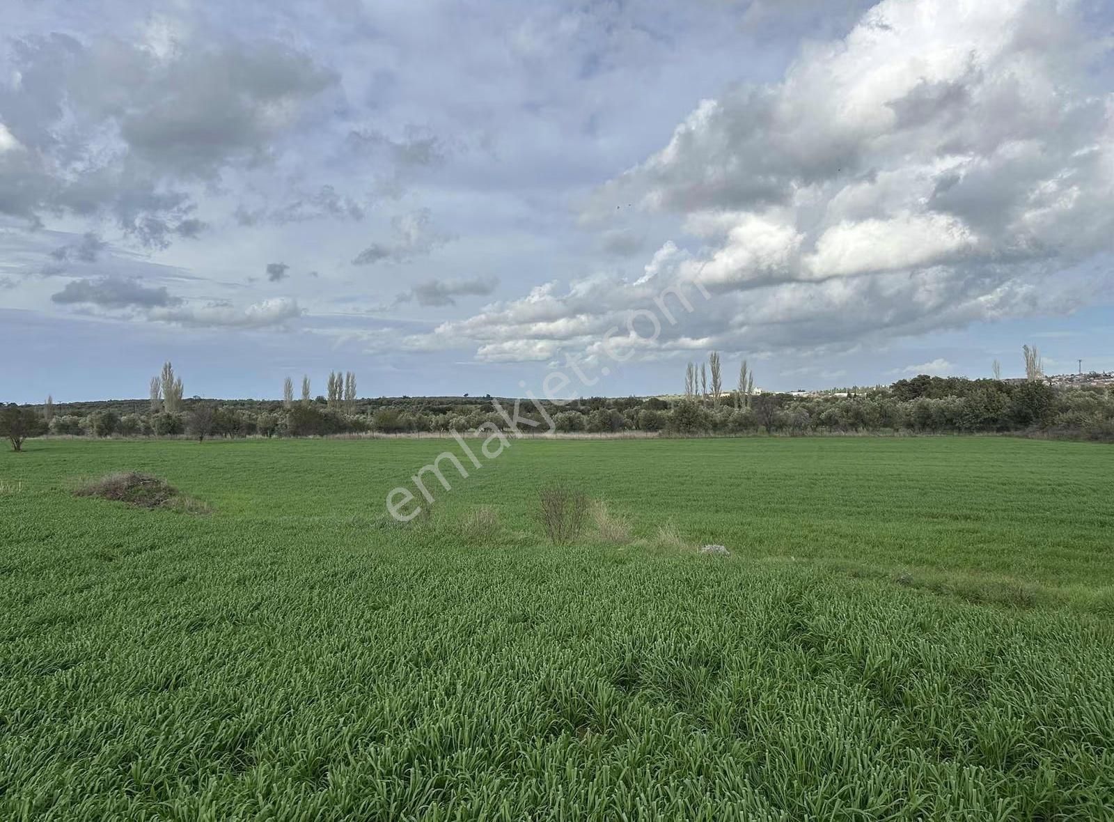 Çanakkale Ezine Gökçebayır'da 23 Dönüm Arazi - Görsel 18