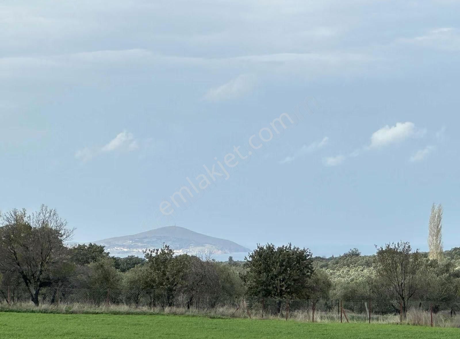 Çanakkale Ezine Gökçebayır'da 23 Dönüm Arazi - Görsel 10