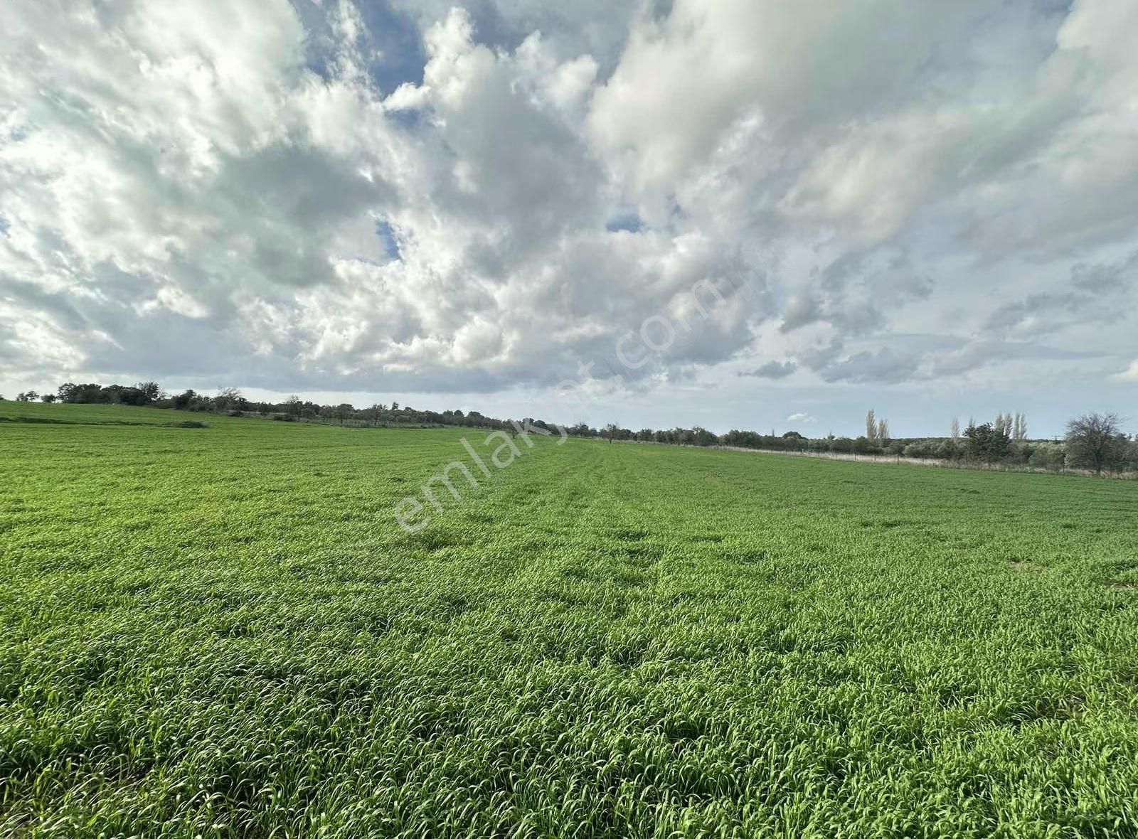 Çanakkale Ezine Gökçebayır'da 23 Dönüm Arazi - Görsel 28