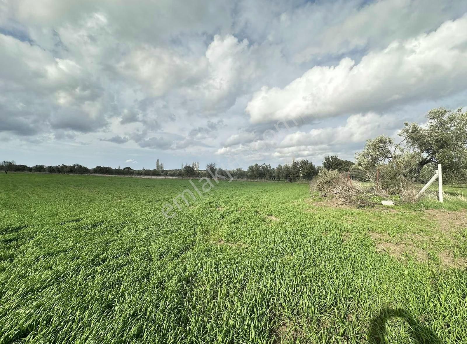 Çanakkale Ezine Gökçebayır'da 23 Dönüm Arazi - Görsel 25