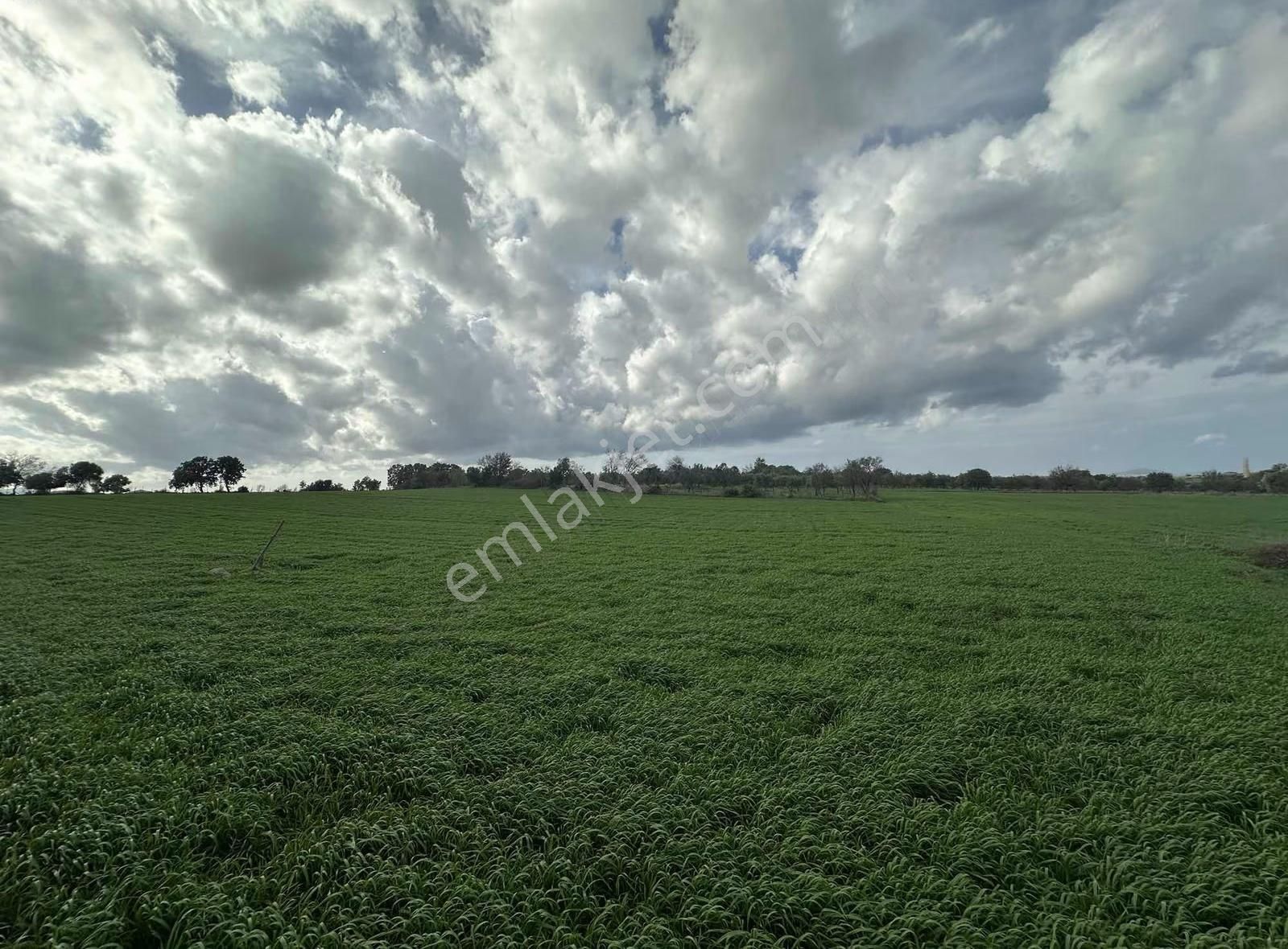 Çanakkale Ezine Gökçebayır'da 23 Dönüm Arazi - Görsel 14