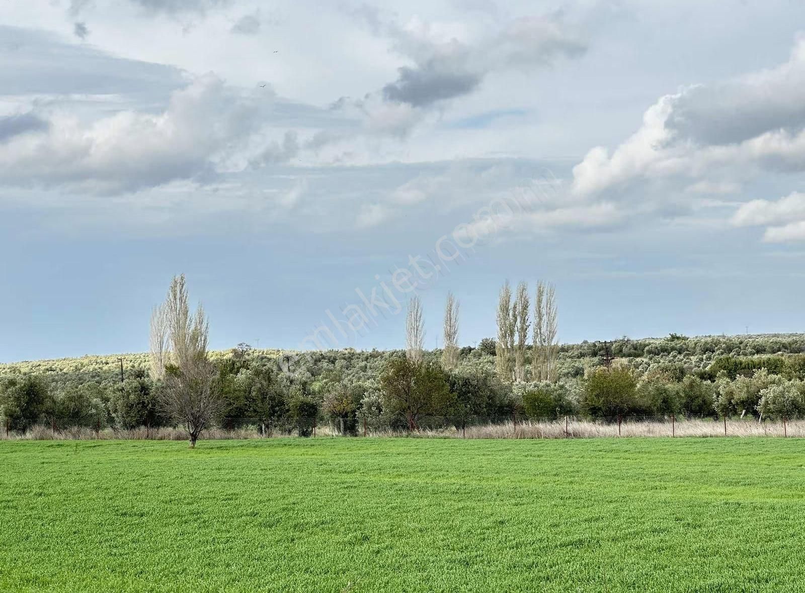 Çanakkale Ezine Gökçebayır'da 23 Dönüm Arazi - Görsel 7