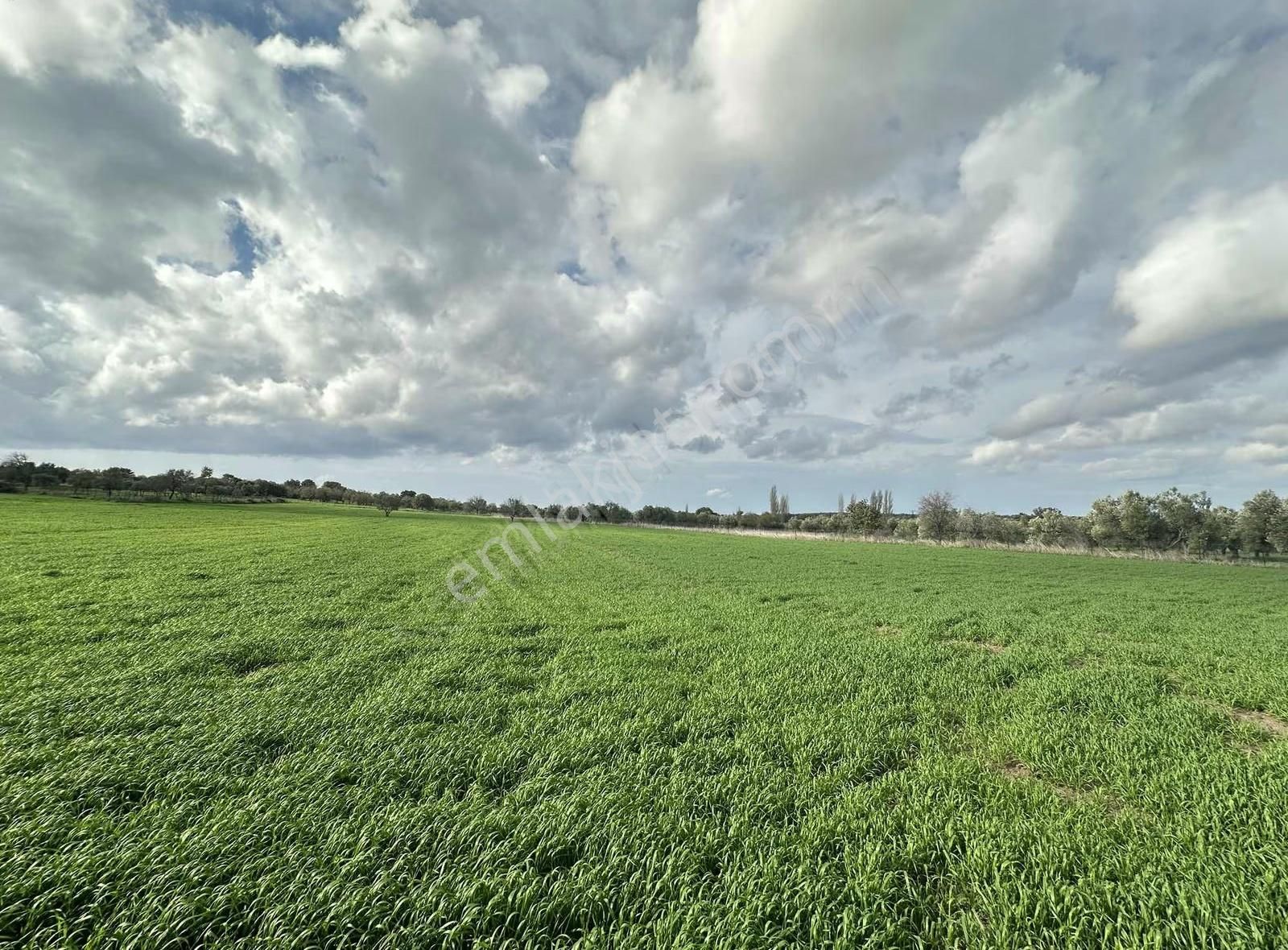 Çanakkale Ezine Gökçebayır'da 23 Dönüm Arazi - Görsel 16