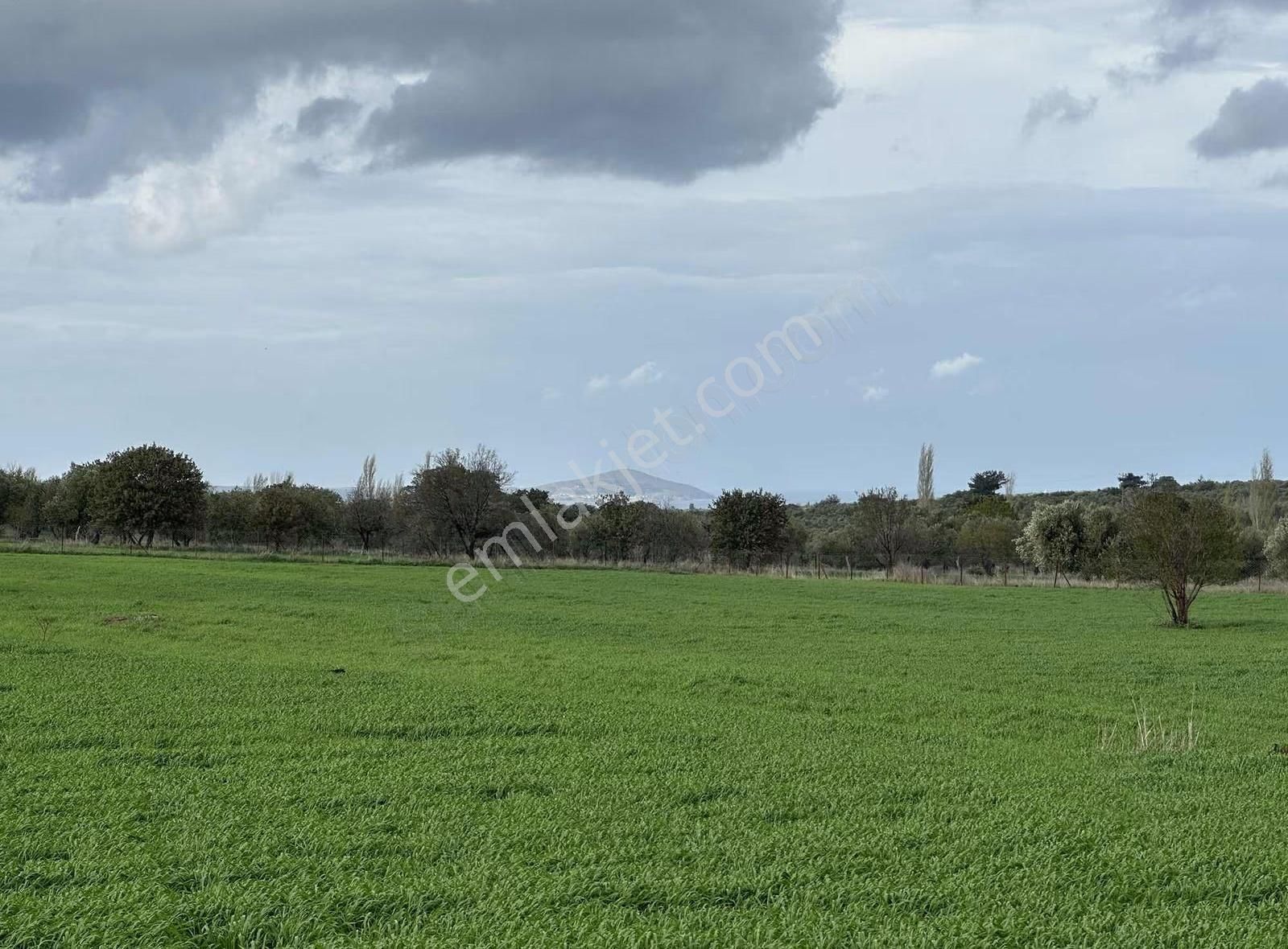 Çanakkale Ezine Gökçebayır'da 23 Dönüm Arazi - Görsel 3