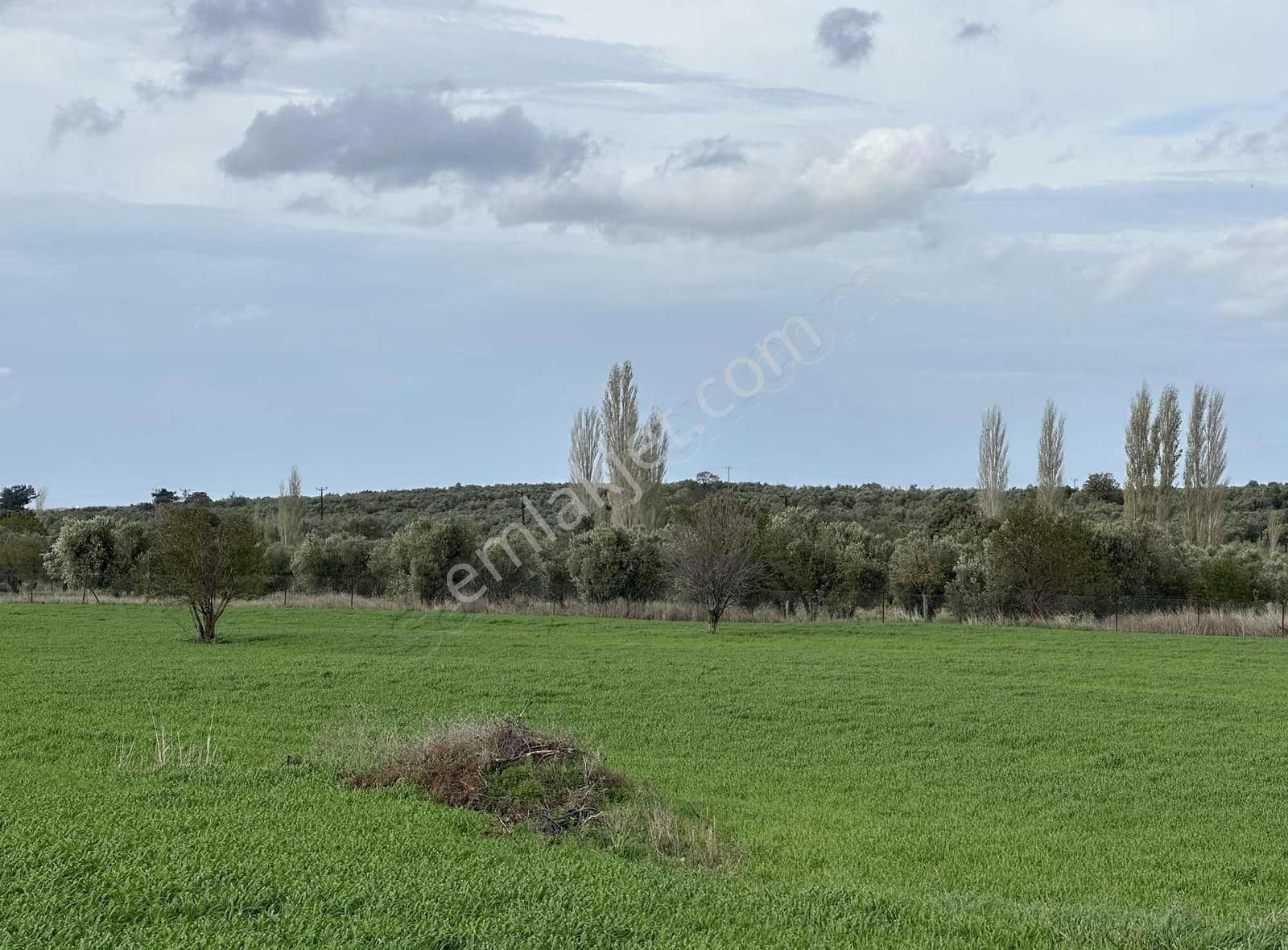 Çanakkale Ezine Gökçebayır'da 23 Dönüm Arazi - Görsel 12