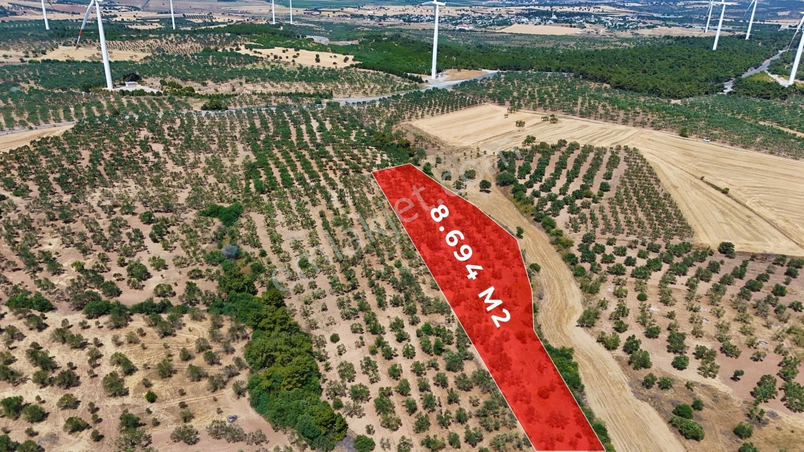 Çanakkale Ezine Üvecik Köyünde 8.694 M2 Tarla ! - Görsel 4