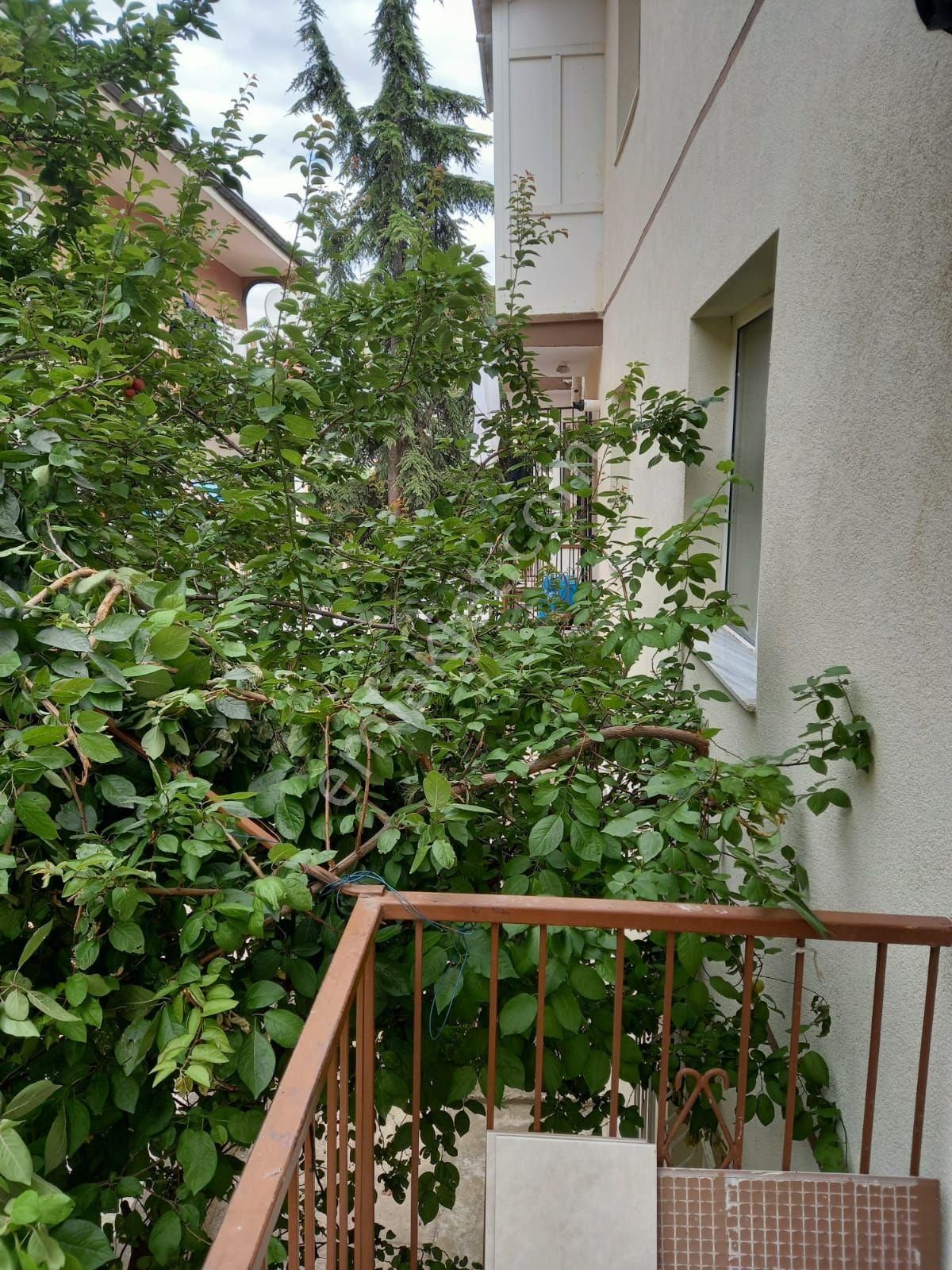 Sahibinden Keçiören Güçlükaya Da Metroya 400 Metre - Görsel 5