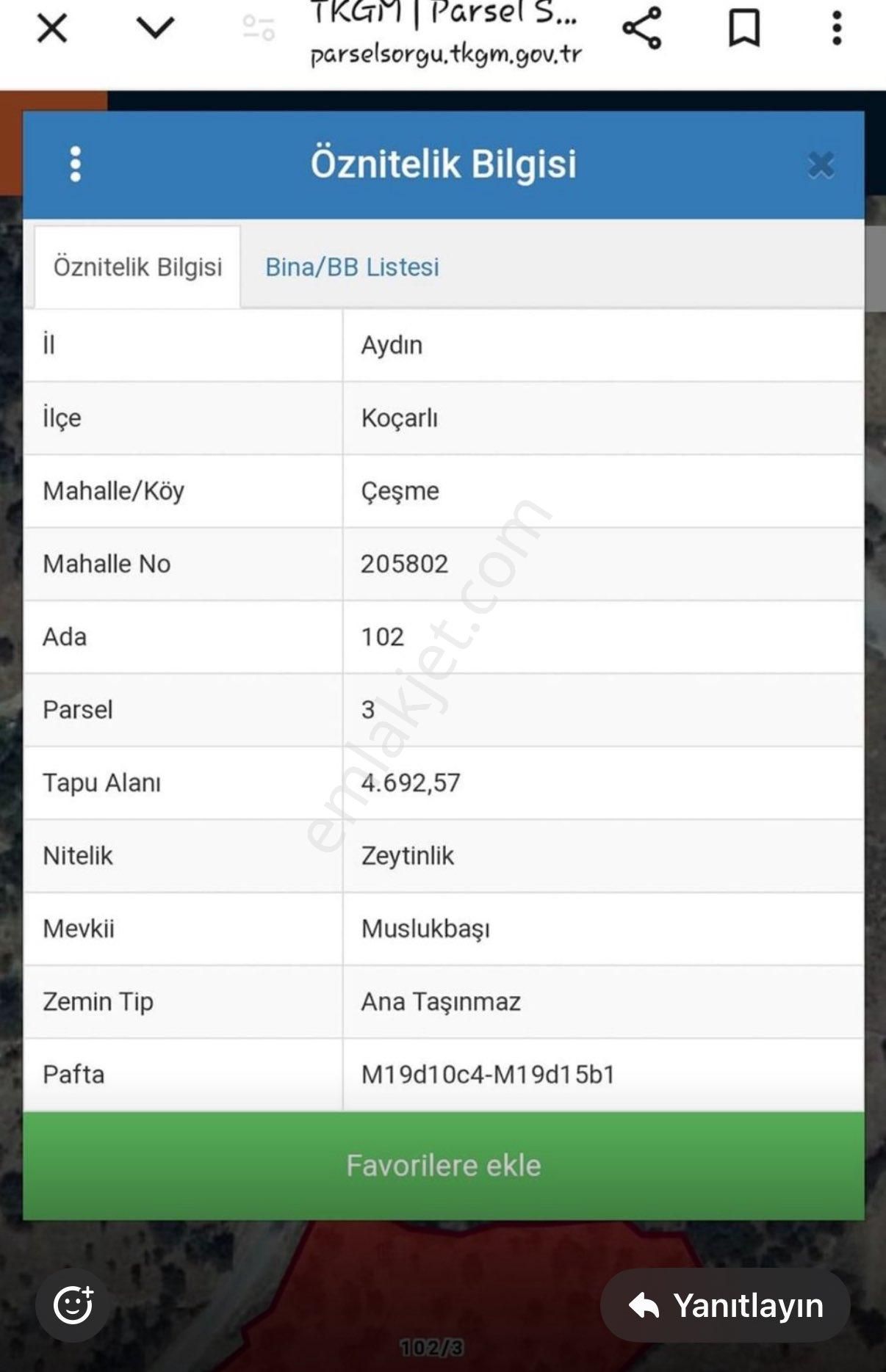 Koçarlı Çeşmeköy De Zeytinlik - Görsel 3