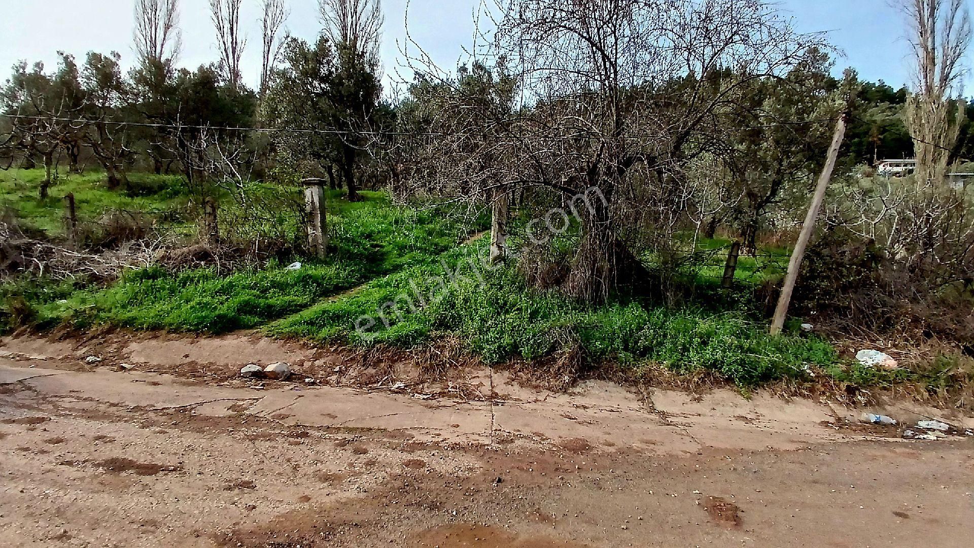 Rw Land Gayrimenkul’den Bursa Osmangazi Dürdane Karatopraklar Mevkii Satılık Meyva Bahçesi - Görsel 17