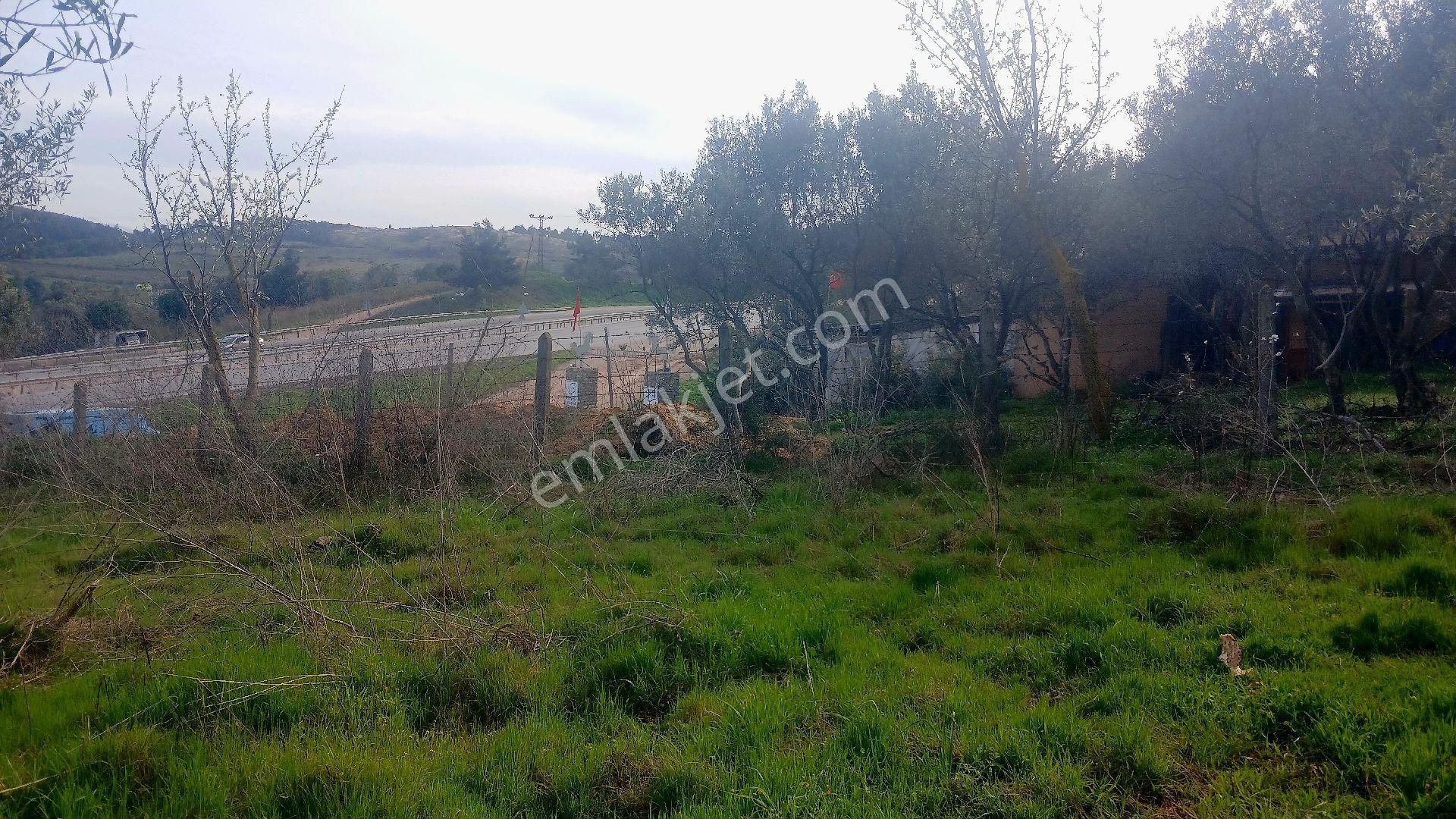 Rw Land Gayrimenkul’den Bursa Osmangazi Dürdane Karatopraklar Mevkii Satılık Meyva Bahçesi - Görsel 5