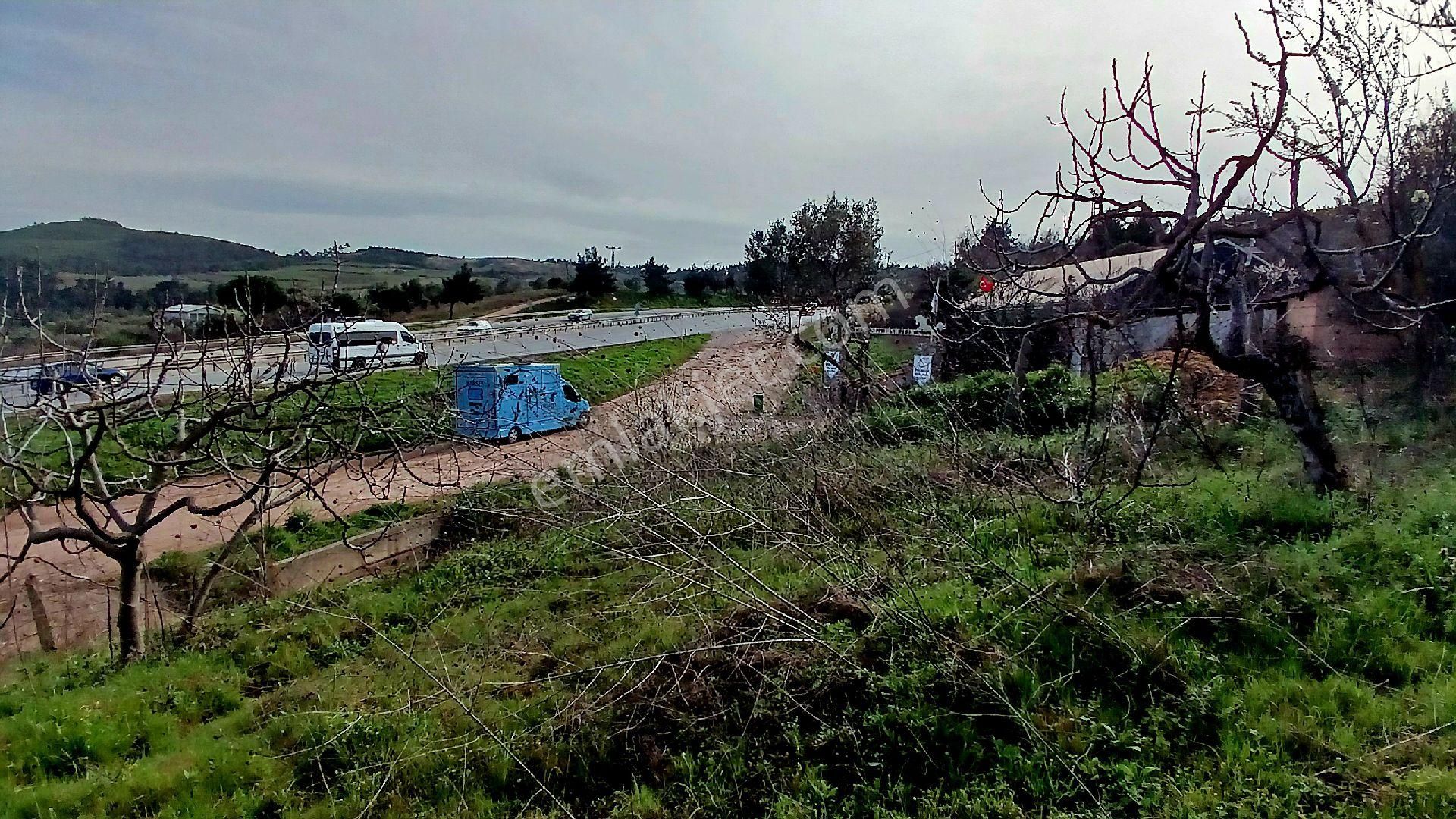 Rw Land Gayrimenkul’den Bursa Osmangazi Dürdane Karatopraklar Mevkii Satılık Meyva Bahçesi - Görsel 9