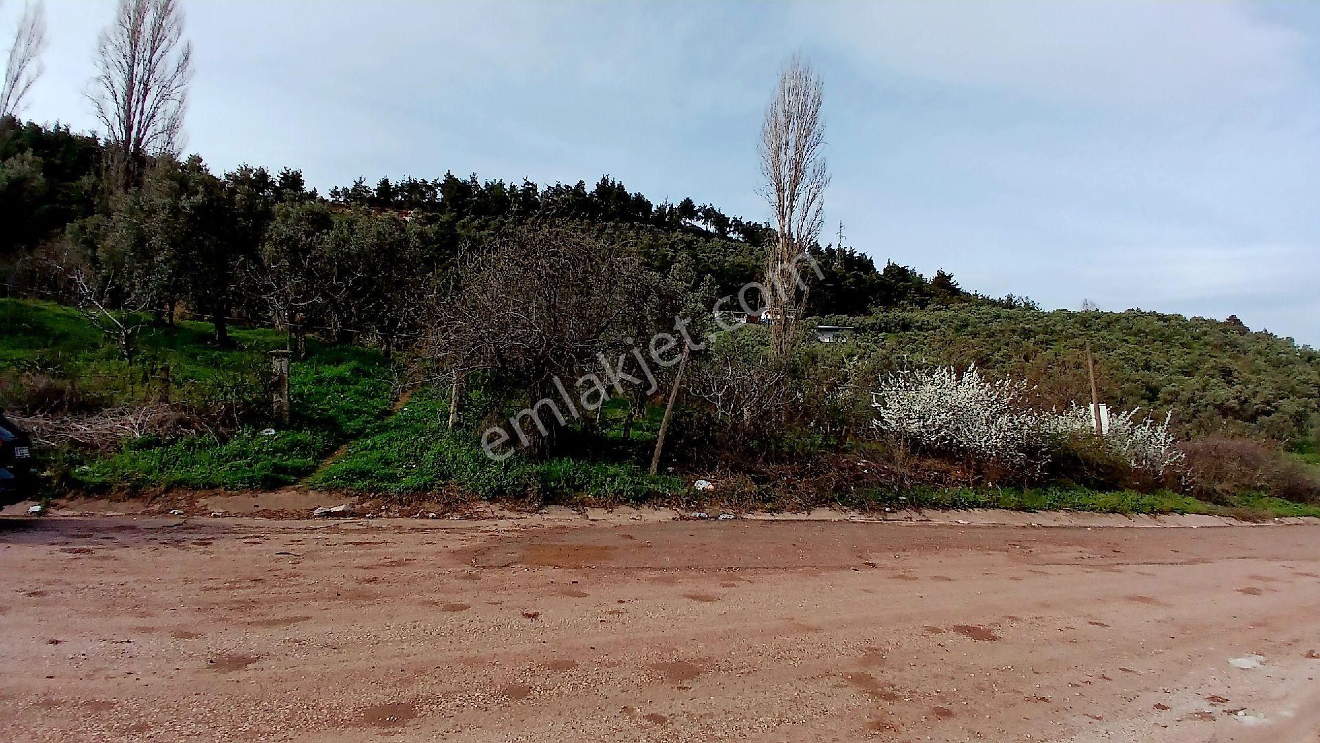 Rw Land Gayrimenkul’den Bursa Osmangazi Dürdane Karatopraklar Mevkii Satılık Meyva Bahçesi - Görsel 14