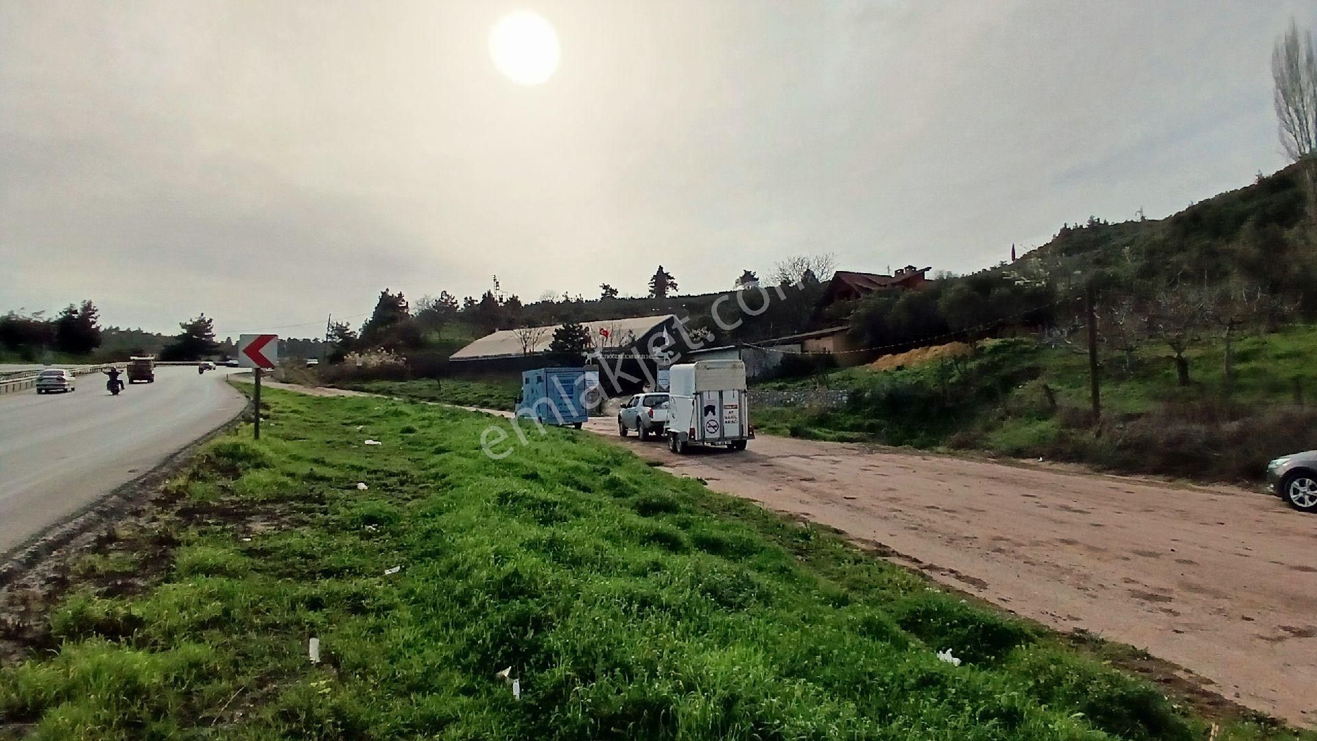Rw Land Gayrimenkul Den Bursa Osmangazi Dürdane Karatopraklar Mevkii Satılık Zeytinlik - Görsel 15