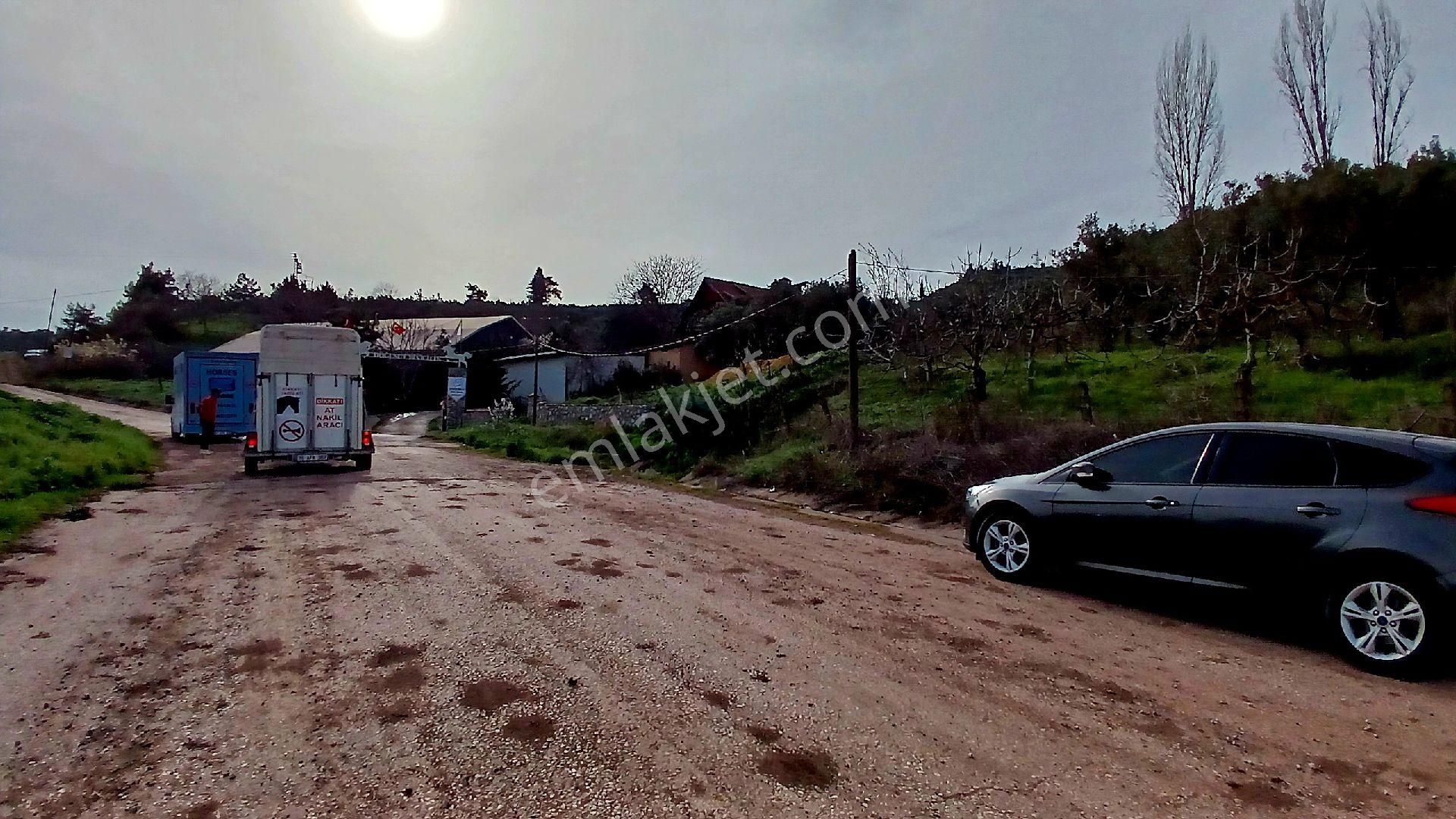 Rw Land Gayrimenkul Den Bursa Osmangazi Dürdane Karatopraklar Mevkii Satılık Zeytinlik - Görsel 17