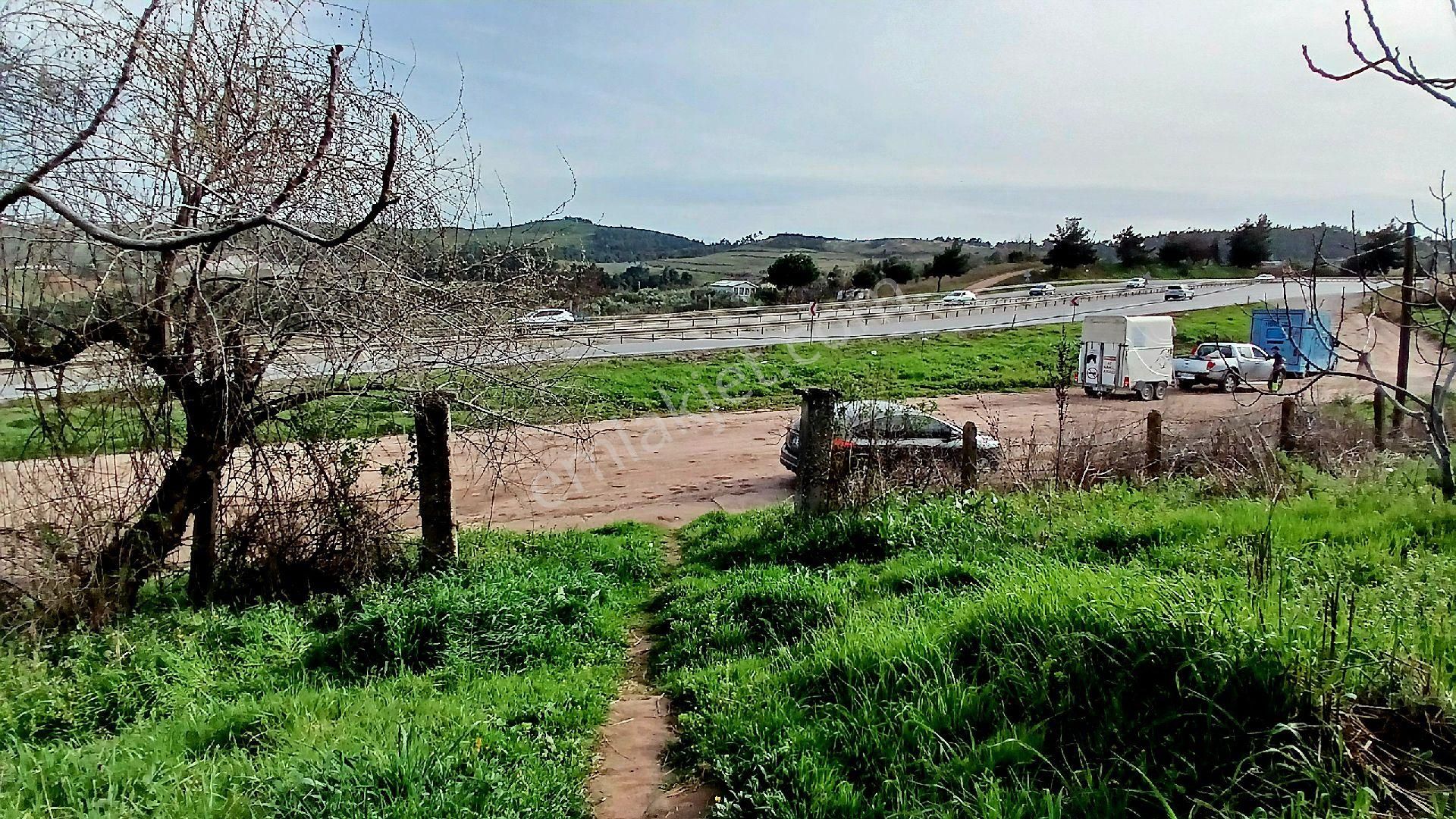 Rw Land Gayrimenkul Den Bursa Osmangazi Dürdane Karatopraklar Mevkii Satılık Zeytinlik - Görsel 7