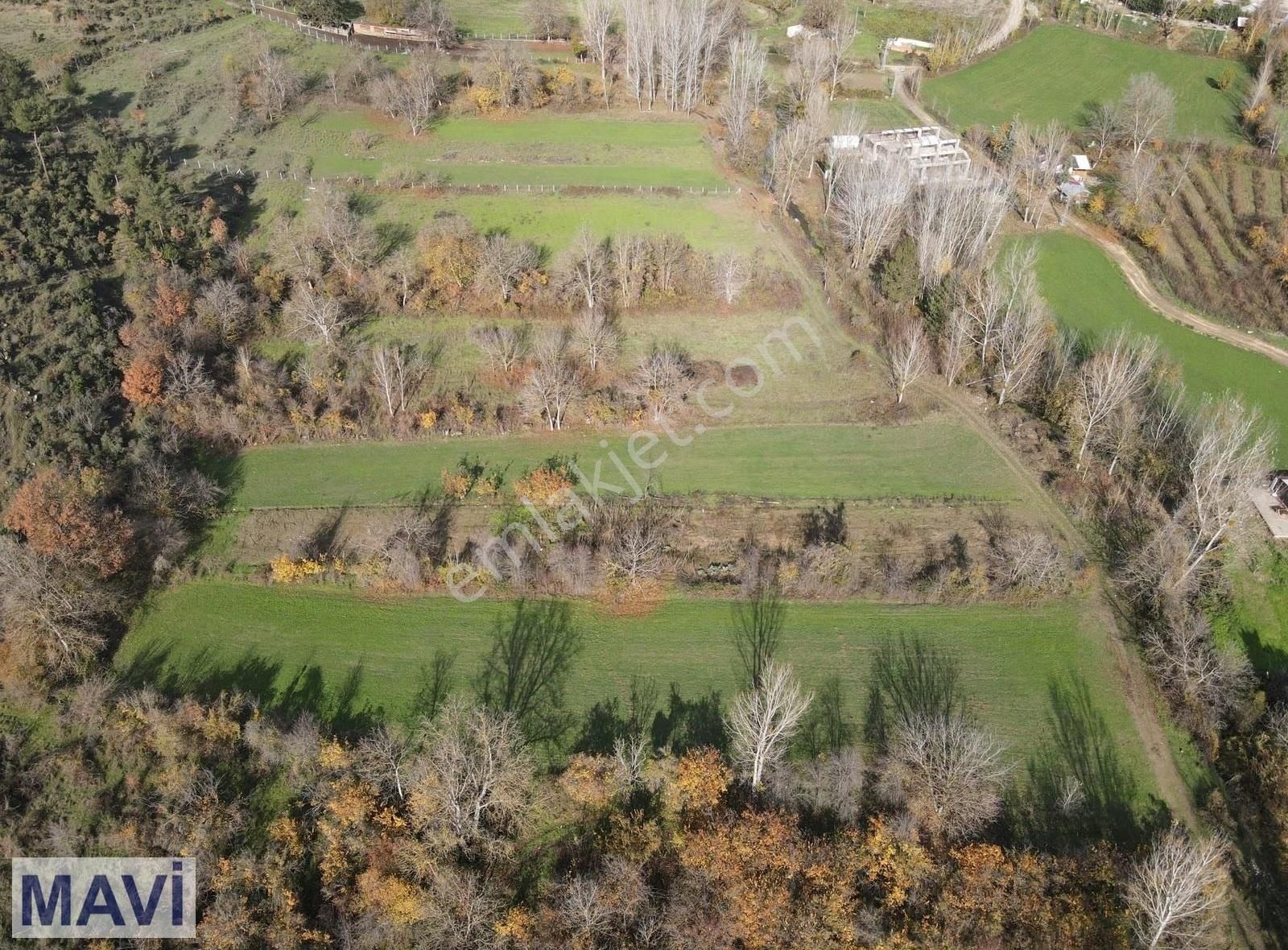 Remax Mavi'den Sakarya Taraklı'da Turizm İmarlı Arsa - Görsel 4