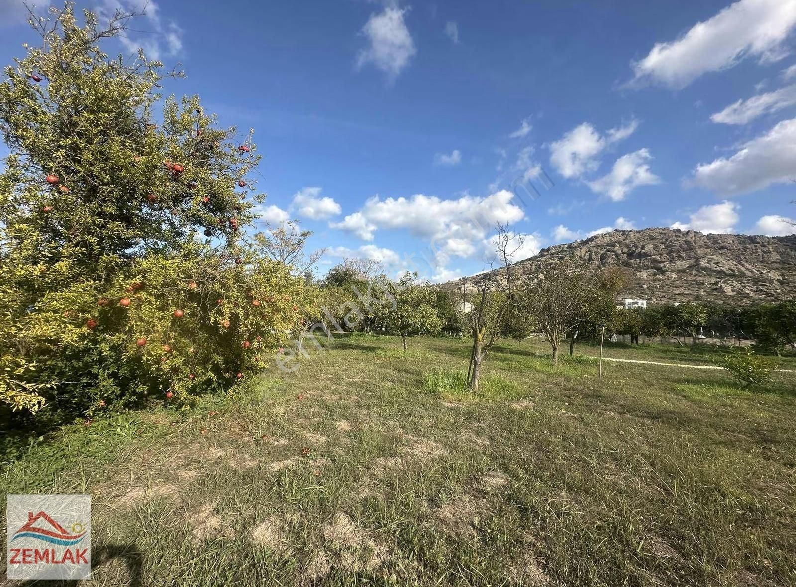 Bodrum Gündoğan Merkez'de İçinde Evi Olan Mandalina Bahçesi - Görsel 14