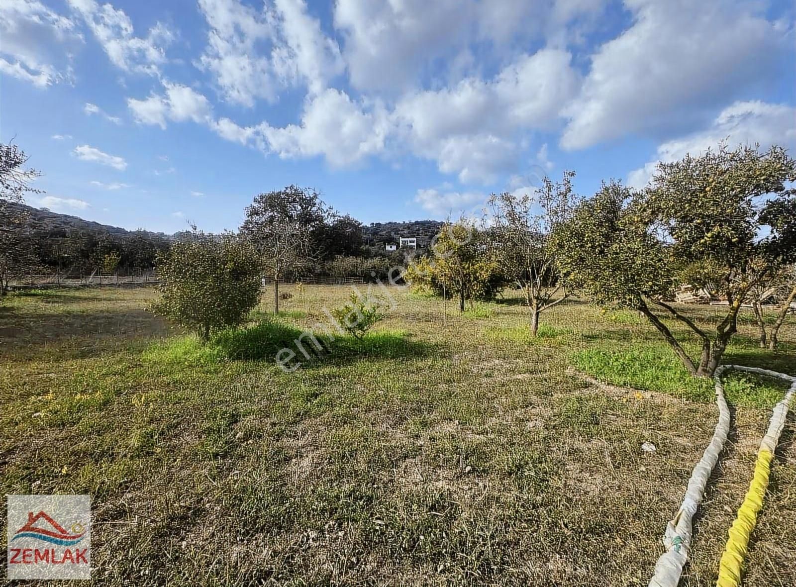 Bodrum Gündoğan Merkez'de İçinde Evi Olan Mandalina Bahçesi - Görsel 12