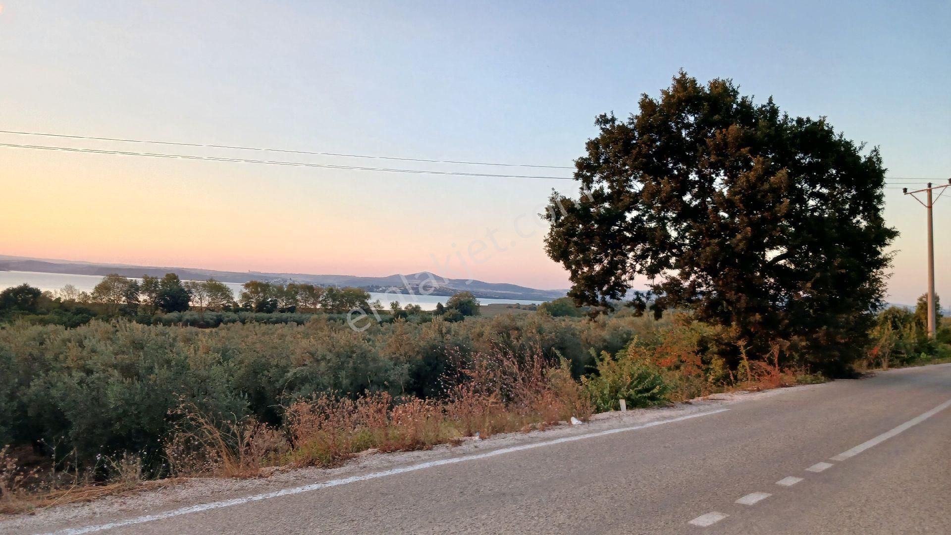 Rw Land Gayrimenkul’den Bursa Nilüfer Fadıllı Da Satılık Tarla - Görsel 4