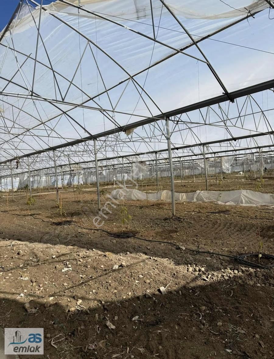 Taşağıl Sağirinde Hazır Kurulu Satılık Sera Ve Tarlası - Görsel 4