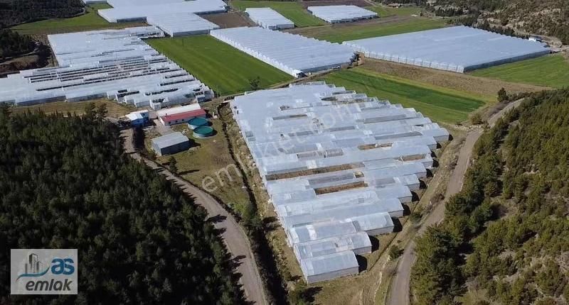 Taşağıl Sağirinde Hazır Kurulu Satılık Sera Ve Tarlası - Görsel 10