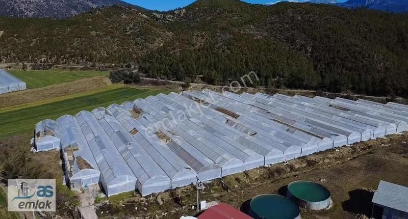 Taşağıl Sağirinde Hazır Kurulu Satılık Sera Ve Tarlası - Görsel 6