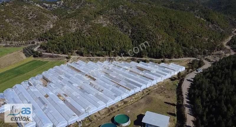 Taşağıl Sağirinde Hazır Kurulu Satılık Sera Ve Tarlası - Görsel 5