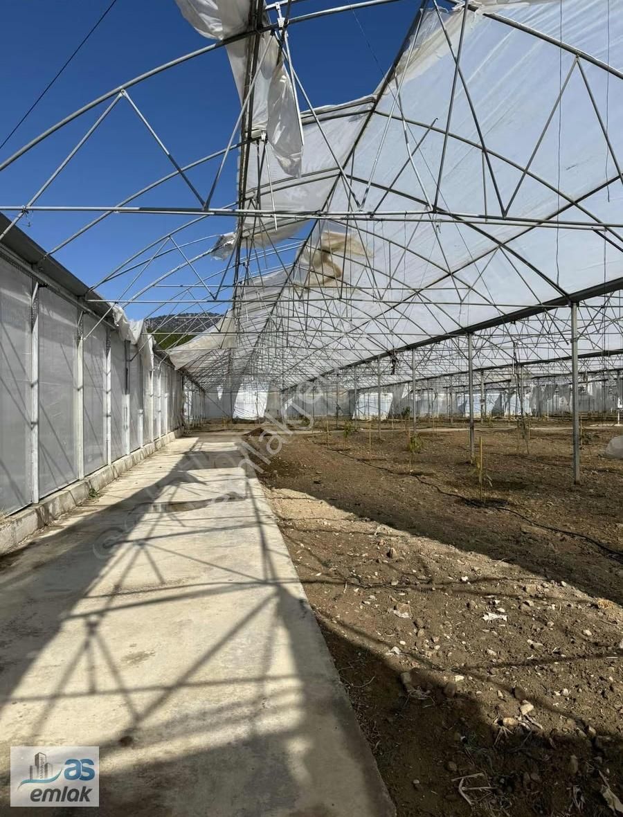 Taşağıl Sağirinde Hazır Kurulu Satılık Sera Ve Tarlası - Görsel 12