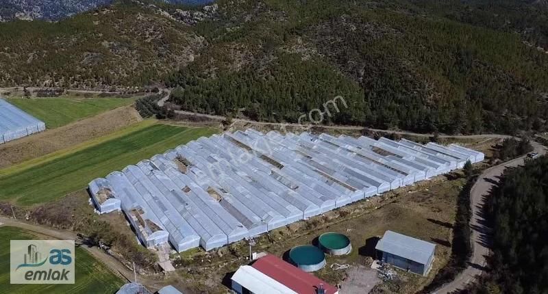 Taşağıl Sağirinde Hazır Kurulu Satılık Sera Ve Tarlası