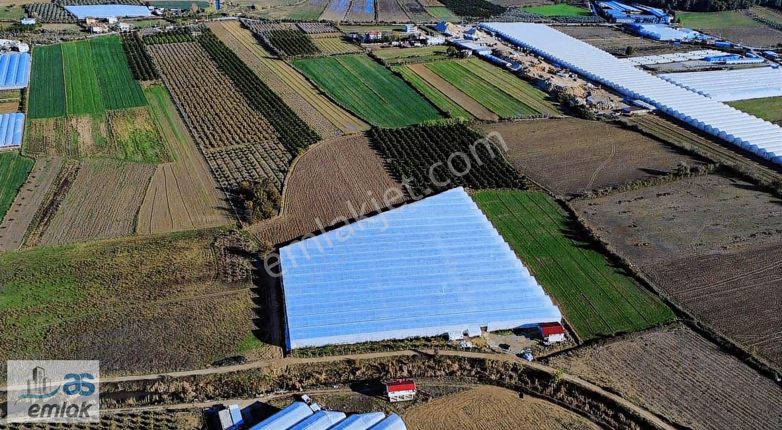 Yenıköy De Taksim Sözleşmesi Yapılmış Satılık 13 Dönüm Tarla - Görsel 3