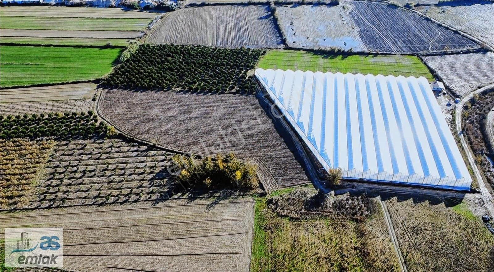 Yenıköy De Taksim Sözleşmesi Yapılmış Satılık 13 Dönüm Tarla - Görsel 5