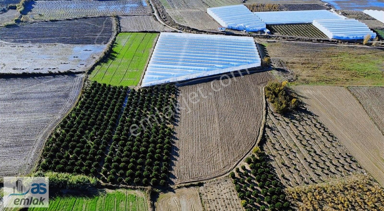 Yenıköy De Taksim Sözleşmesi Yapılmış Satılık 13 Dönüm Tarla - Görsel 9