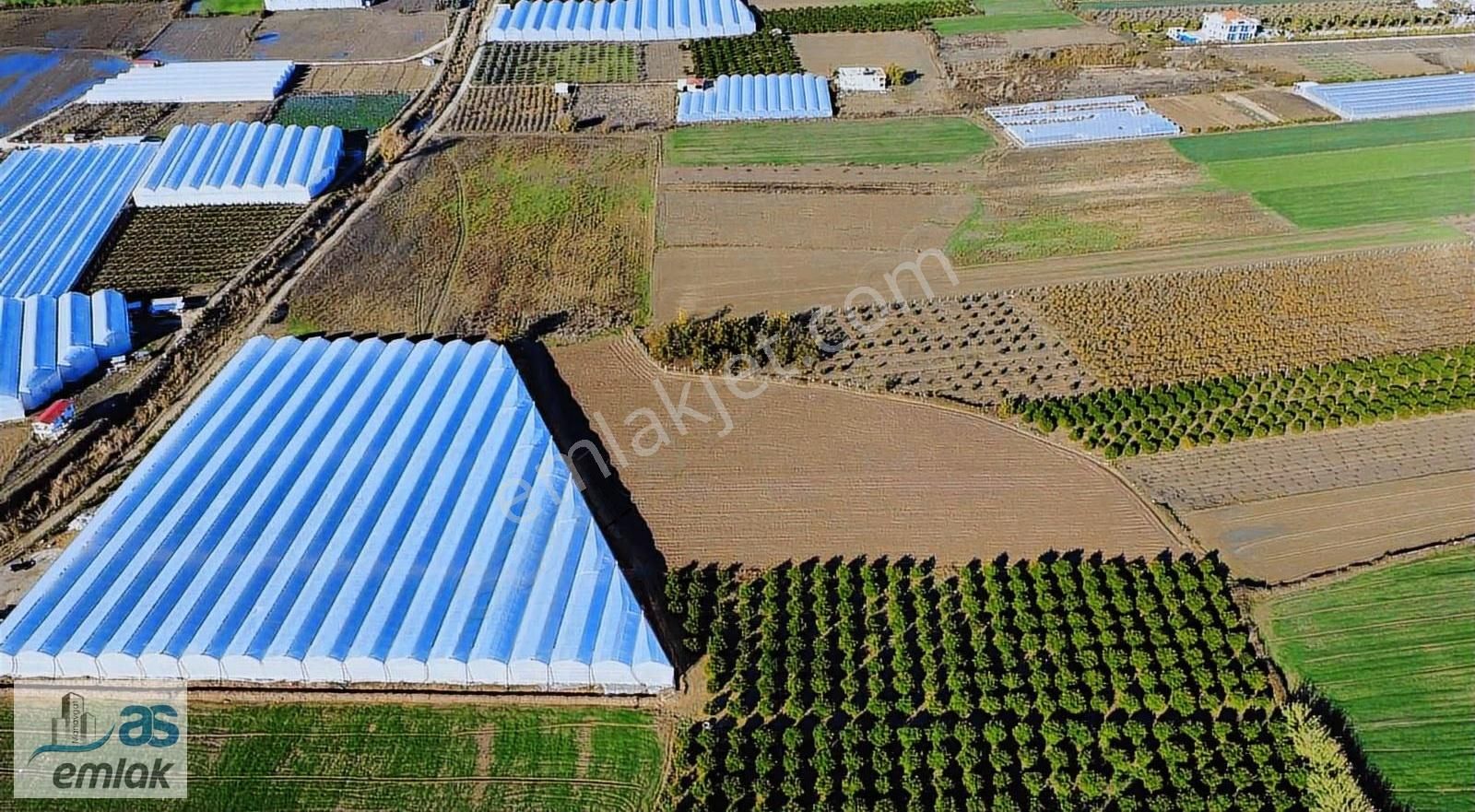 Yenıköy De Taksim Sözleşmesi Yapılmış Satılık 13 Dönüm Tarla - Görsel 8