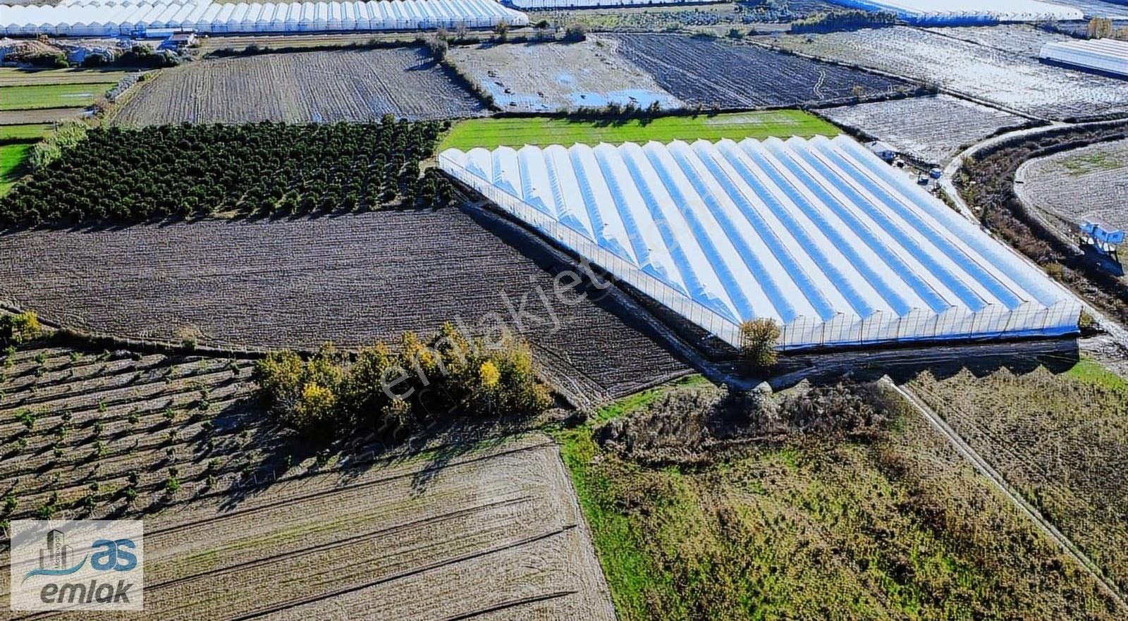 Yenıköy De Taksim Sözleşmesi Yapılmış Satılık 13 Dönüm Tarla - Görsel 6