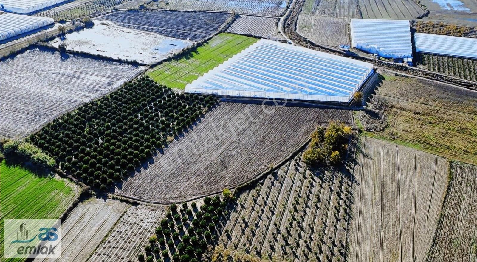 Yenıköy De Taksim Sözleşmesi Yapılmış Satılık 13 Dönüm Tarla - Görsel 2