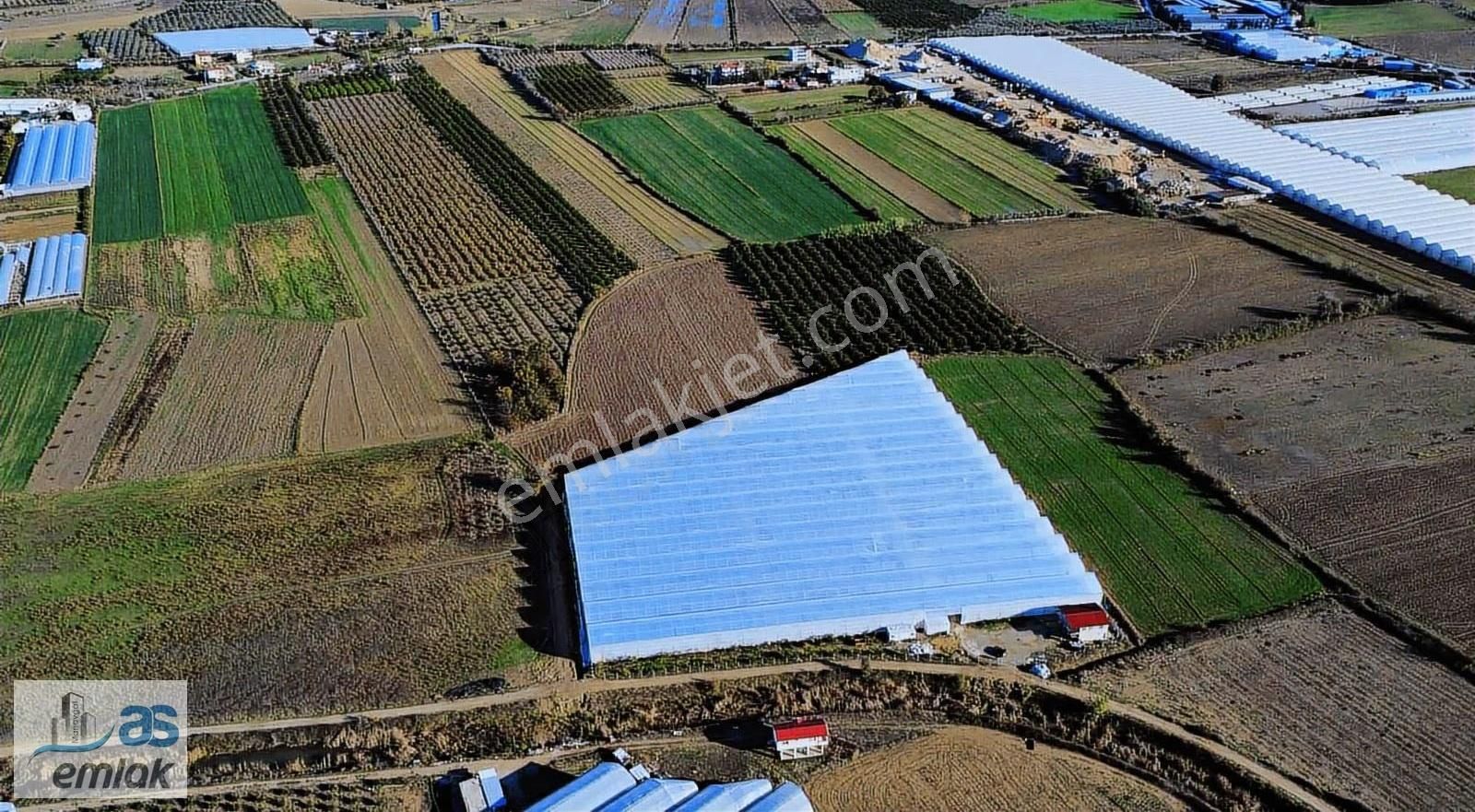 Yenıköy De Taksim Sözleşmesi Yapılmış Satılık 13 Dönüm Tarla - Görsel 4