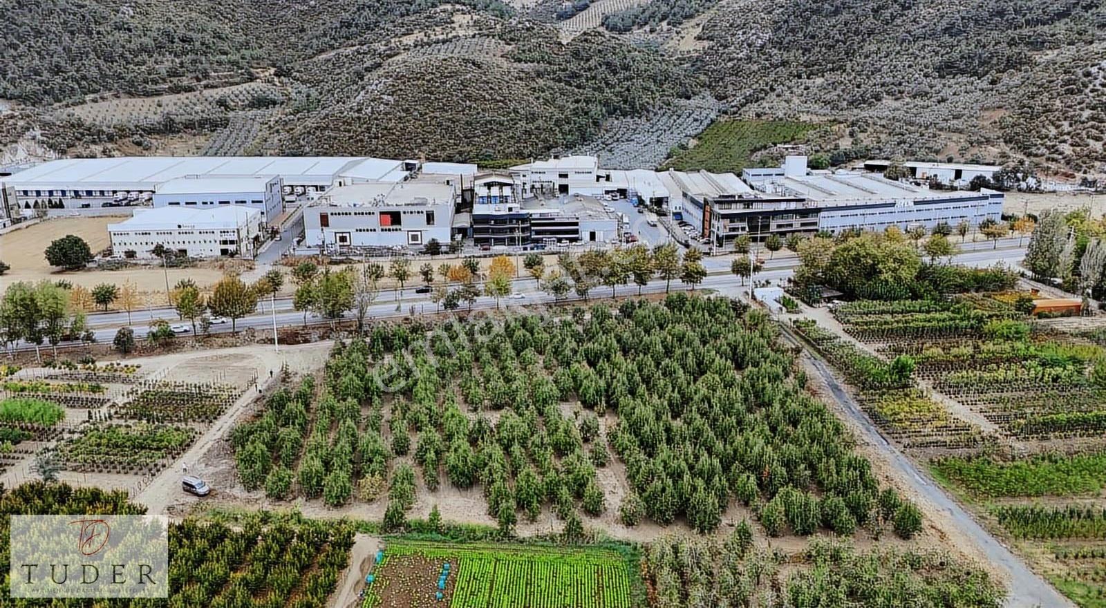 Kestel Barakfakihte 5 Dönüm Tarla Ankara Asfalt'ına Cepheli - Görsel 3
